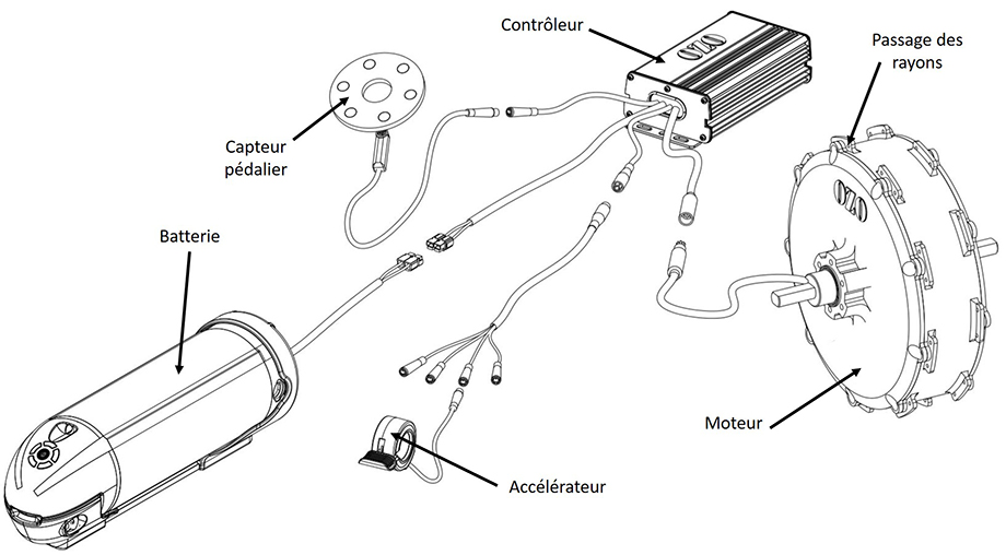 Les composants d'un kit moteur roue pour vélo électrique