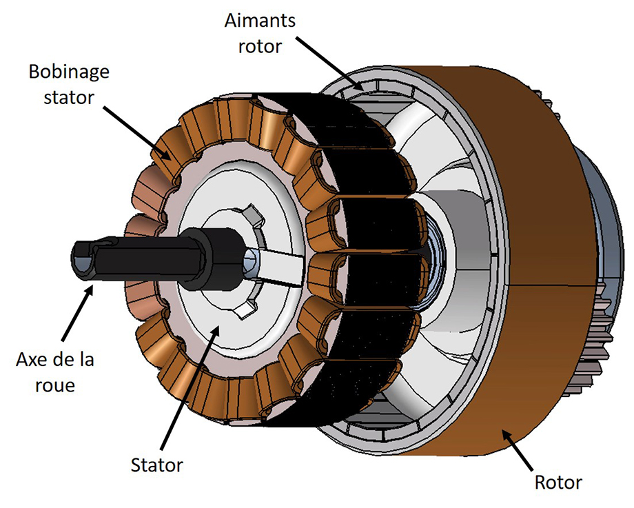 Architecture du moteur réducté : rotor et stator